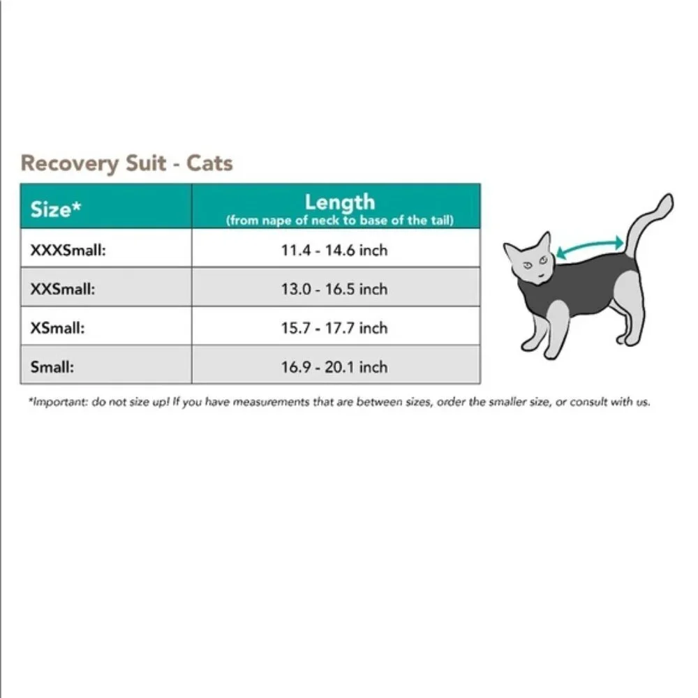 Cat Kitten Gray Camo Suitical Recovery Suit XXXS No more Cones ! Wound Surgical